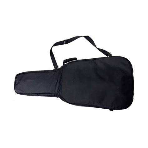 discreet guitar case